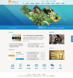 醫(yī)藥企業(yè)如何通過(guò)網(wǎng)站建設(shè)，鑄就卓越品牌形象