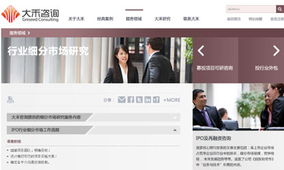 大禾咨詢官方網(wǎng)站設(shè)計(jì)制作 沙漠風(fēng)網(wǎng)站建設(shè)公司的成功案例解析